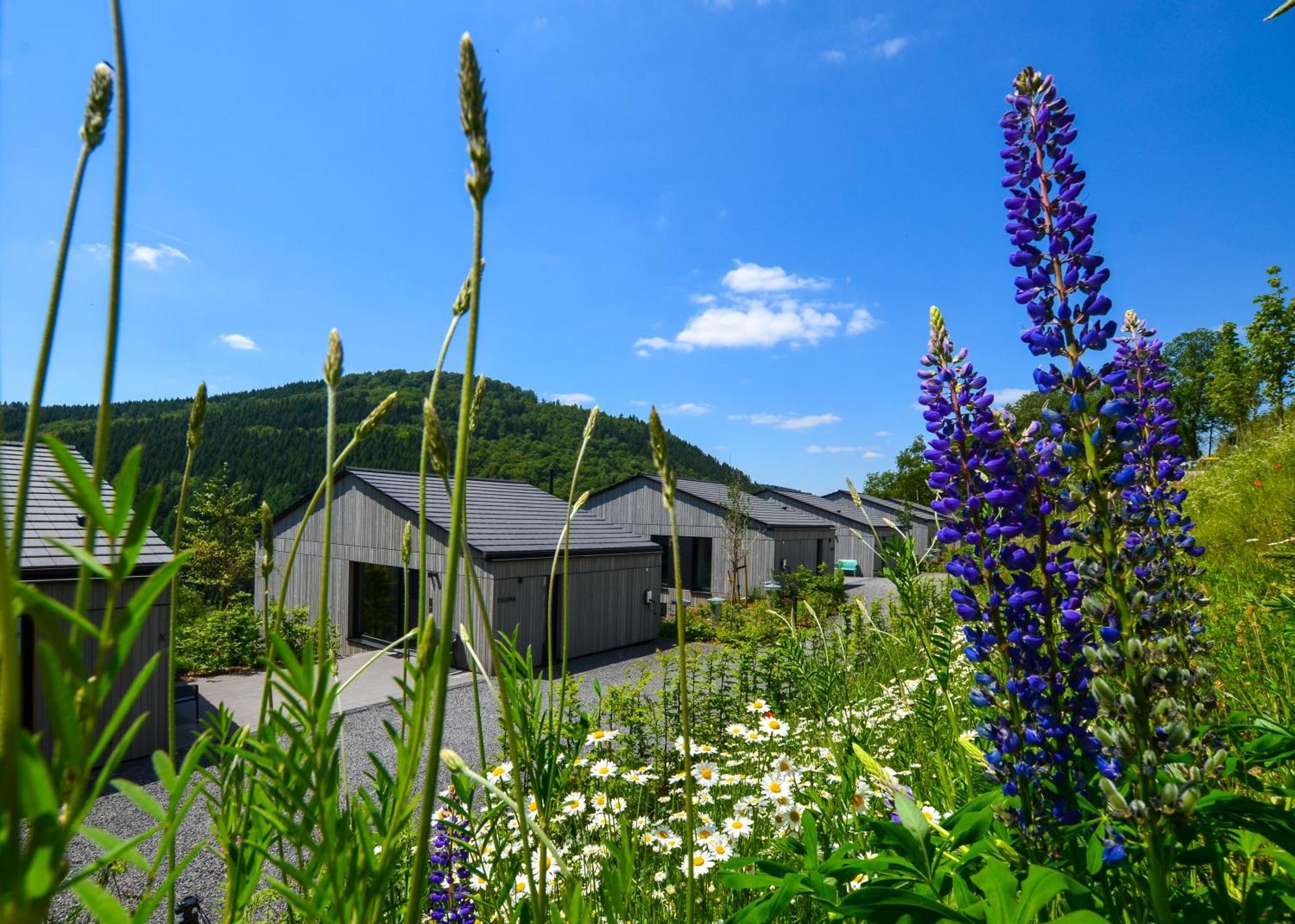 Sauerland Lodge - Haus Maxim Winterberg Ngoại thất bức ảnh